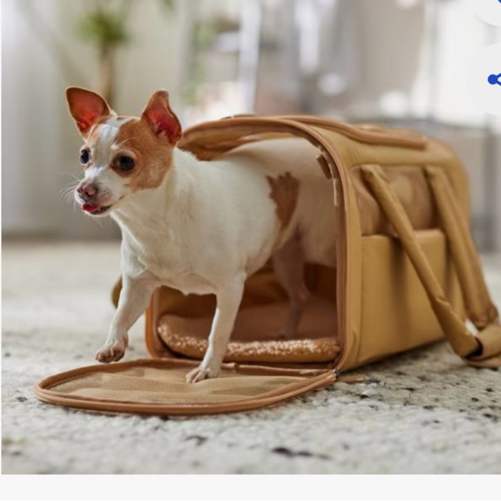 Soft-Sided Airline Compliant Pet Carrier